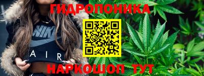 гидропоника Анжеро-Судженск